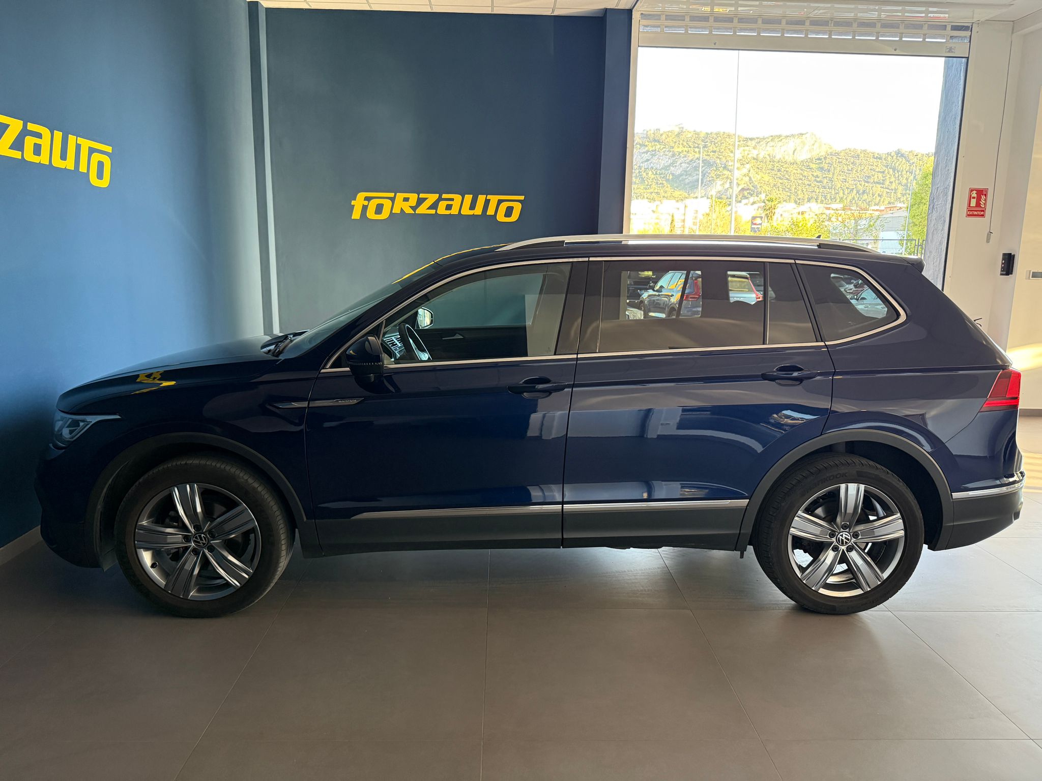 WhatsApp Image 2026-03-31 at 19.22.41 (1)